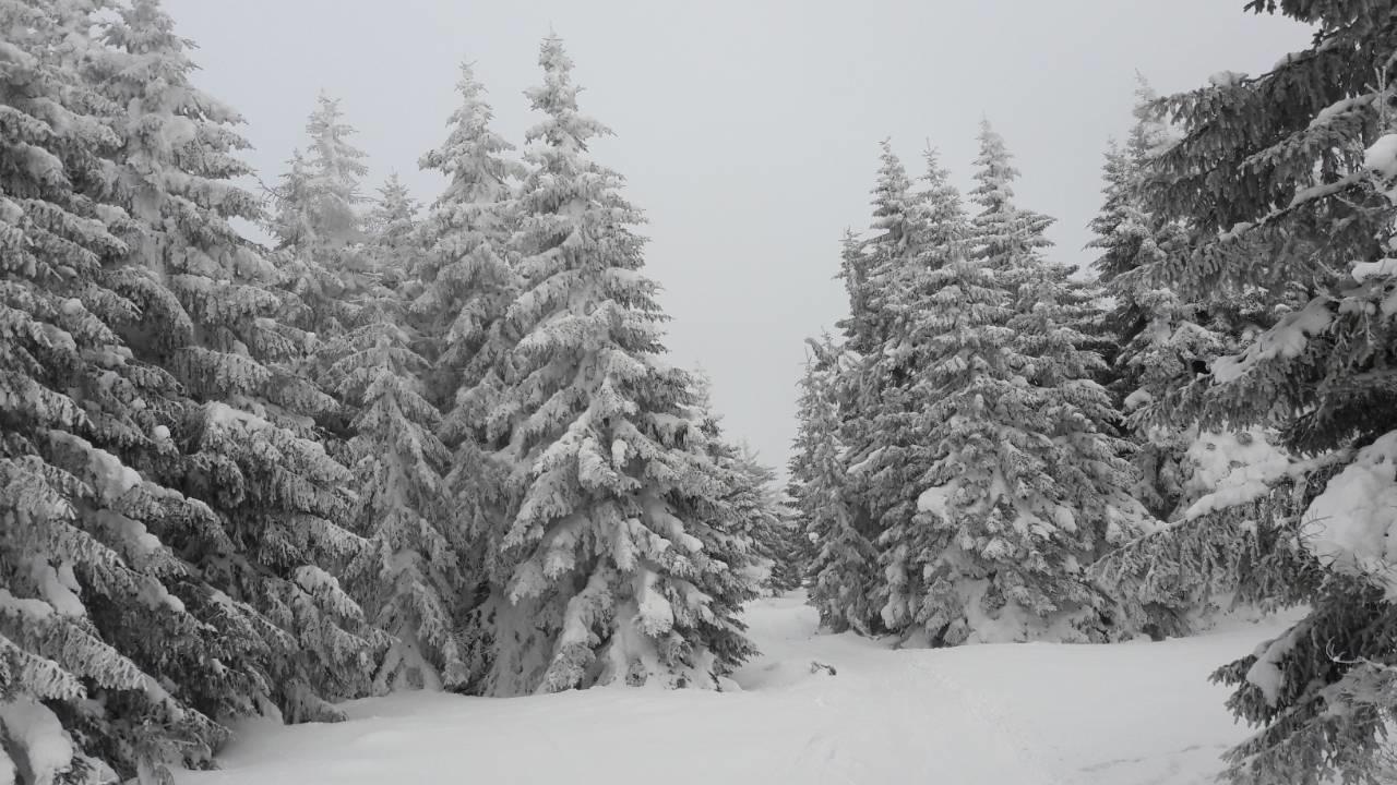LUX Apartman B1 Milmari Kopaonik Bagian luar foto
