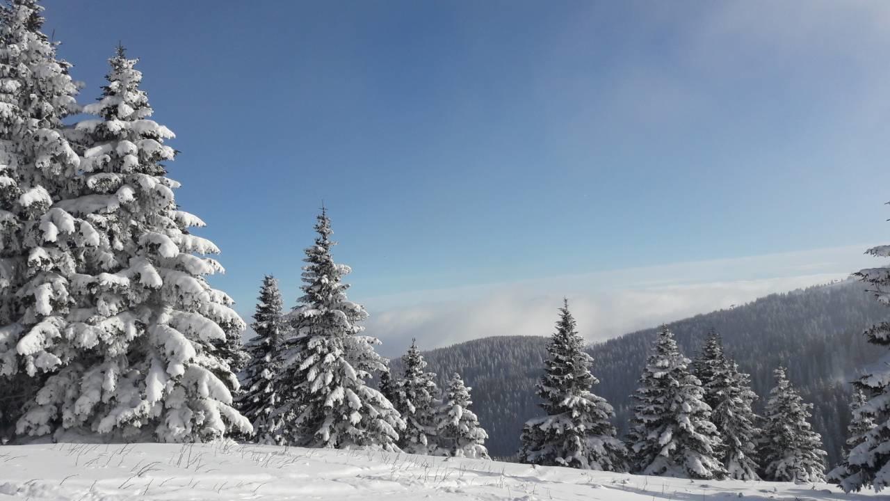 LUX Apartman B1 Milmari Kopaonik Bagian luar foto